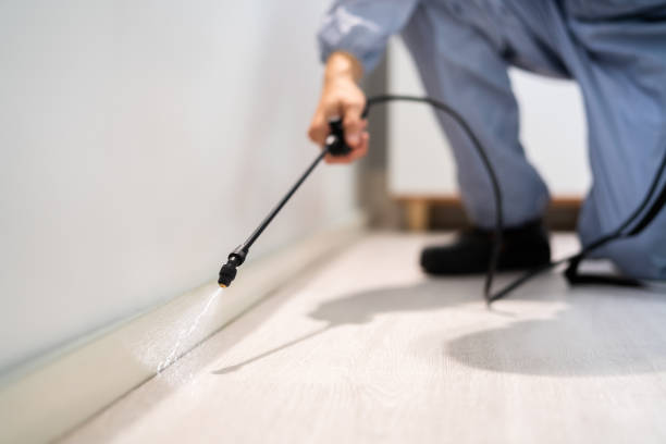 Professional exterminator conducting IPM assessment in Colfax